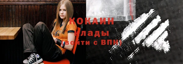 гидра Новозыбков