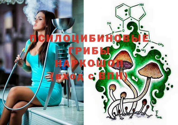 соль ск Нефтекумск