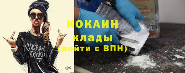 гидра Новозыбков