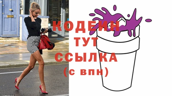 гидра Новозыбков