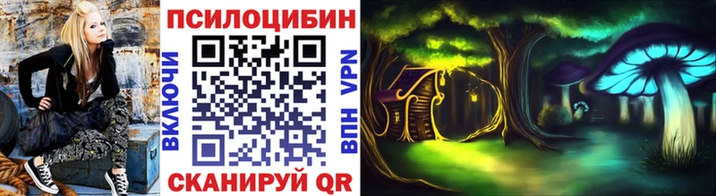 Псилоцибиновые грибы Psilocybe  Межгорье 
